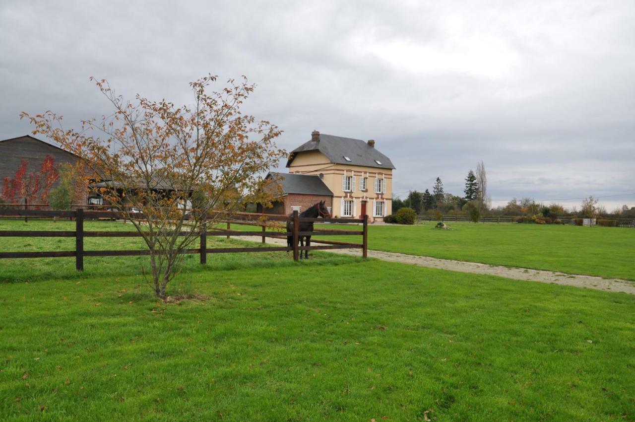 B&B Haras De La Cour Fleury Saint-Michel-de-Livet Dış mekan fotoğraf