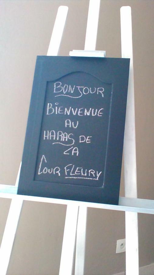 B&B Haras De La Cour Fleury Saint-Michel-de-Livet Dış mekan fotoğraf