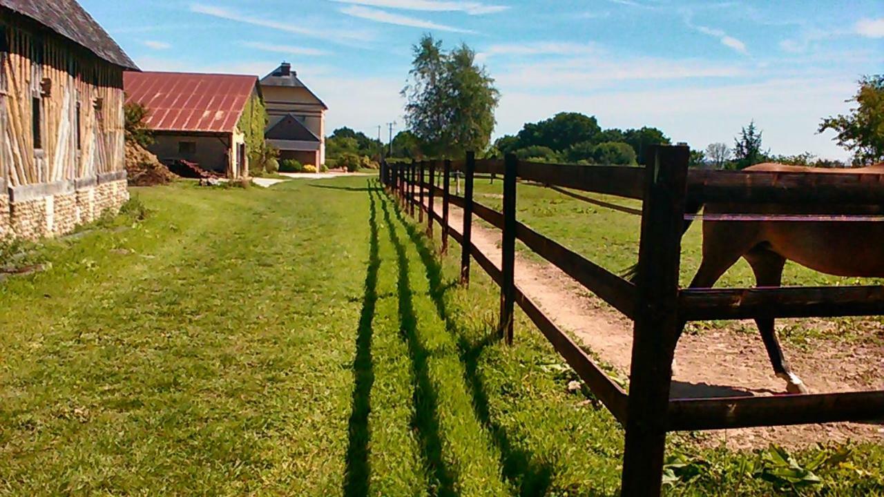 B&B Haras De La Cour Fleury Saint-Michel-de-Livet Dış mekan fotoğraf